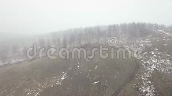 飞越雪林和山丘视频的预览图