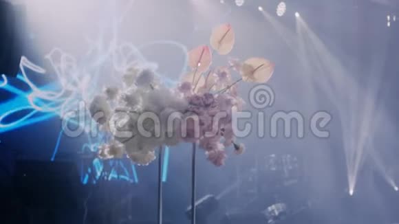 在模糊的背景下婚礼装饰中的漂亮花朵的中蜡镜头视频的预览图
