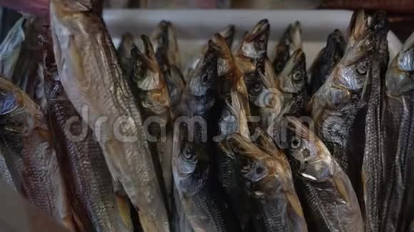 特写镜头展示鱼市柜台上的咸味干鱼视频的预览图