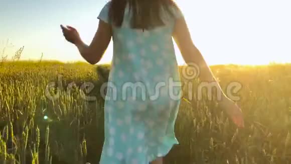美丽的女孩戴着黄色的帽子在日落的天空上的绿色麦田上奔跑自由概念日落时的麦田慢慢视频的预览图