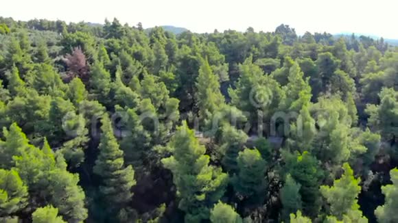 空中无人机用公路向森林射击4KUHD中弹视频的预览图