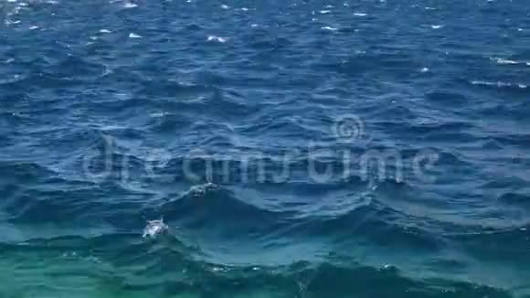 马卡斯卡亚得里亚海岸的风暴克罗地亚视频的预览图