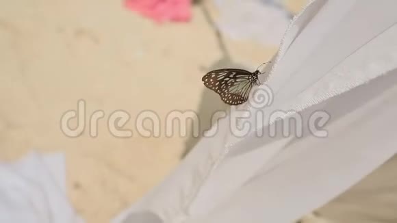 亚洲蝴蝶在海滩上的织物婚礼拱门上视频的预览图