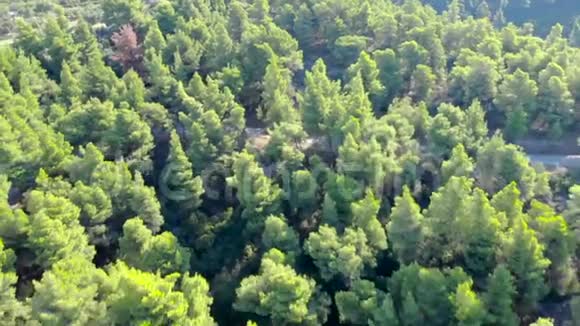 空中无人机用公路向森林射击4KUHD中弹视频的预览图