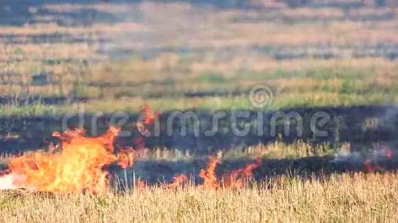在田野上燃烧着干草镜头视频的预览图