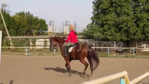 从事骑马的少女慢点视频的预览图