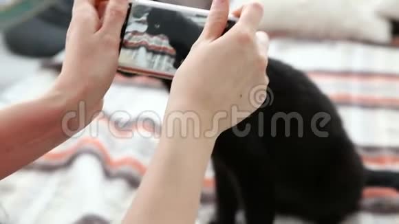 对宠物的爱情妇在家里的床上用智能手机给她的黑猫拍照视频的预览图