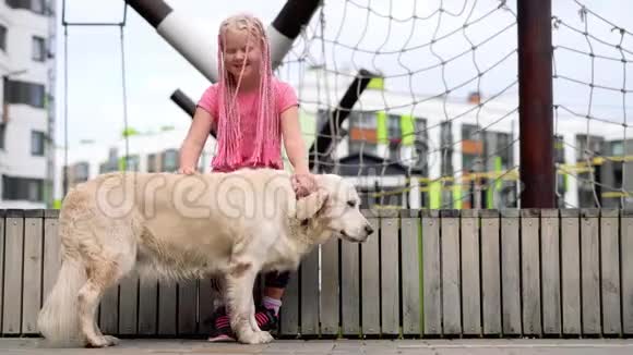 在现代城市里养宠物的生活一个长相怪异的女孩在街上抚摸她的狗视频的预览图