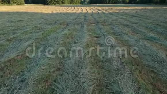 早晨草地上剪下的干草空中视频的预览图