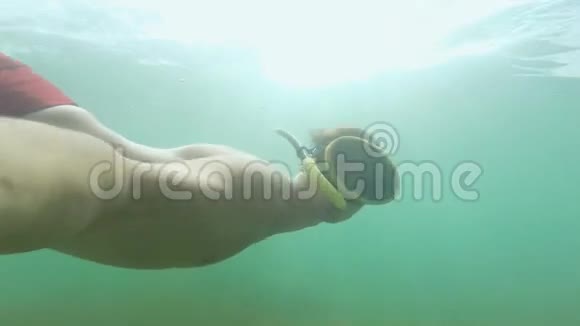 戴着水下面具的家伙在海里游泳并拍摄一只白色水母视频的预览图