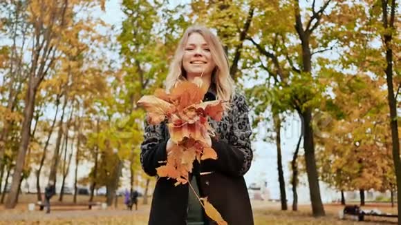 穿着外套的年轻迷人的女孩扔出五颜六色的秋叶在相机里摆姿势和笑享受秋天视频的预览图