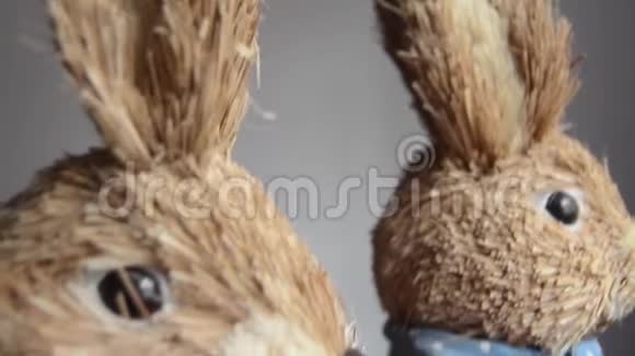复活节兔子装饰兔子和鸡蛋复活节的概念视频的预览图