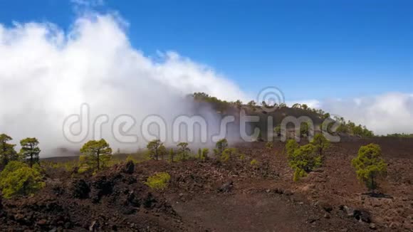 西班牙特内里夫火山景观中的云海视频的预览图