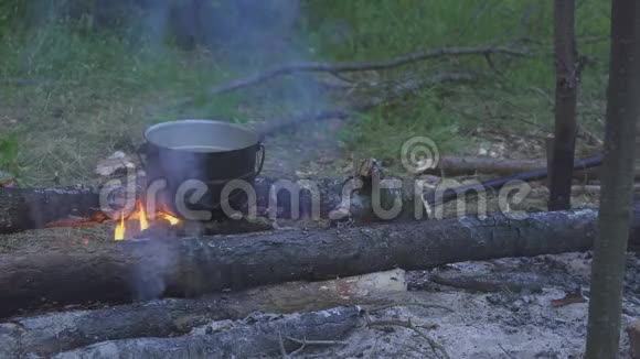 游客在森林中的傍晚在火堆中沸腾品尝晚餐视频的预览图