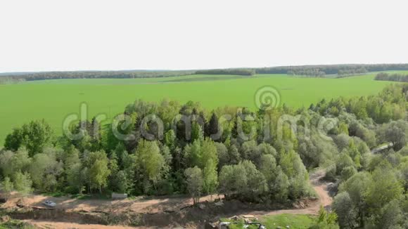 白俄罗斯森林和田野航空摄影视频的预览图