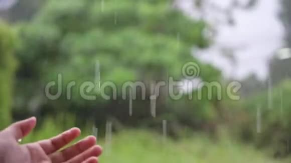 雨水流入手中视频的预览图