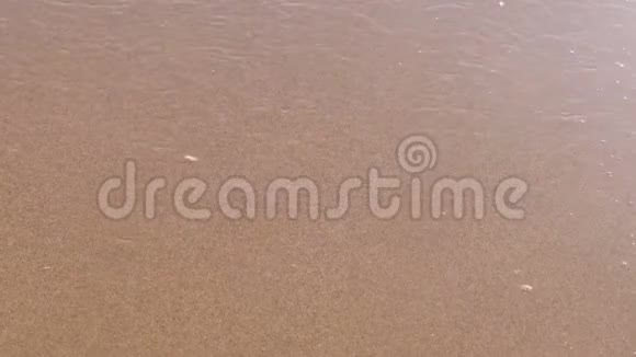 沙滩上有泡沫的软海浪视频的预览图