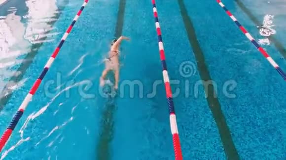 泳池里的职业运动员游泳运动员在游泳池里比赛空中飞行视频的预览图
