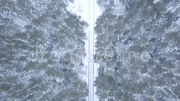冬天飞越森林的道路视频的预览图
