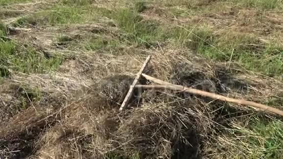 干干草的木制原始手工耙工具视频的预览图