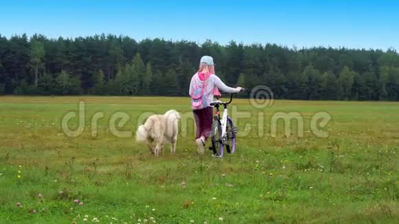 健康的生活方式有自行车和狗的女孩在城市附近的田野上散步视频的预览图