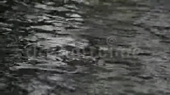 闪烁水环闪烁水环无缝视频的预览图