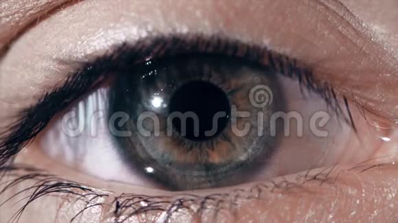 人眼扫描技术界面动画高科技网络眼睛的特写视频的预览图
