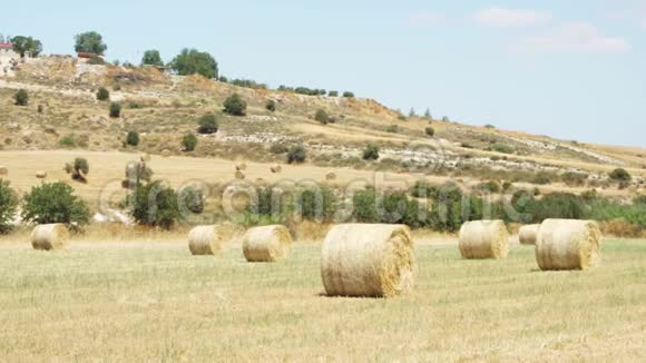在塞浦路斯拉纳卡蓝天下的田野田园般阳光明媚的日子里有着金色干草堆的乡村景观视频的预览图