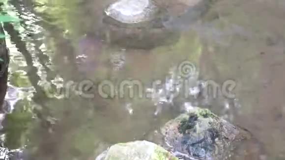 河里的水和大石头视频的预览图
