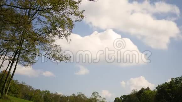 秋季森林系列云层在草地上的时间流逝视频的预览图
