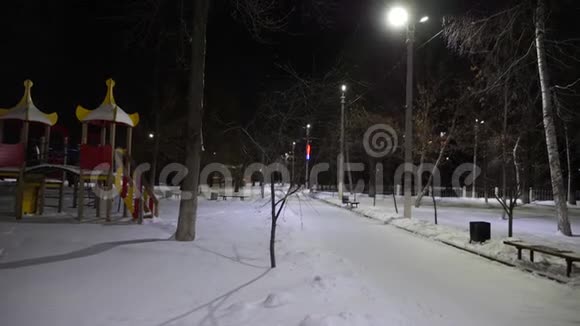 冬天的小巷路灯在夜间公园里覆盖着雪雪照着灯笼飞视频的预览图