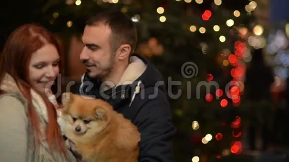 白种人貌相的年轻夫妇和狗夫妇在一起很有趣灯光和基督大树在背景上视频的预览图