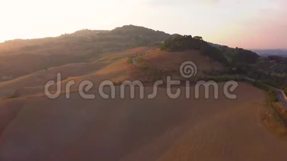 空中镜头意大利托斯卡纳日落时美丽的葡萄园4K视频的预览图