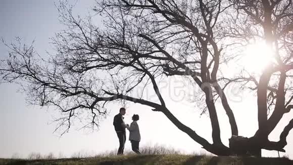 在大树附近相爱的情侣剪影爱好者在大树下视频的预览图