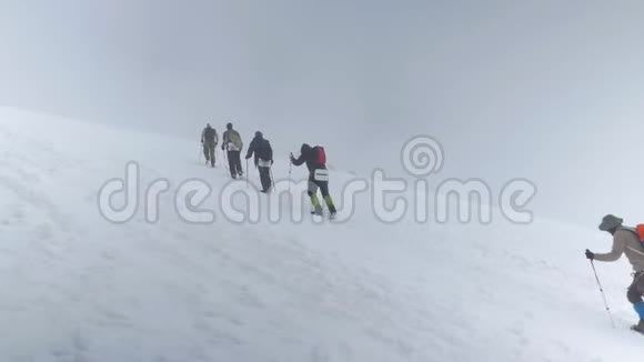 登山者攀登埃布勒斯峰在夏天视频的预览图