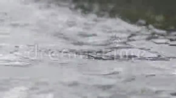 水质地喷泉中的地表水关闭动态场景50fps视频的预览图