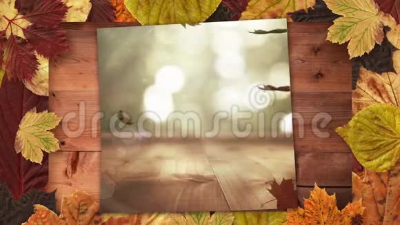 秋天的叶子框架和屏幕显示秋天的叶子视频的预览图