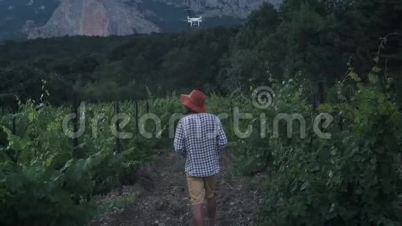 一个男性农民用无人机耕种监视它的葡萄田农业新技术视频的预览图