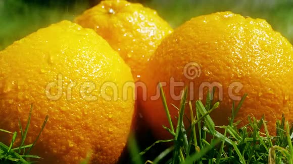 在成熟的橘子上缓慢地注入水视频的预览图