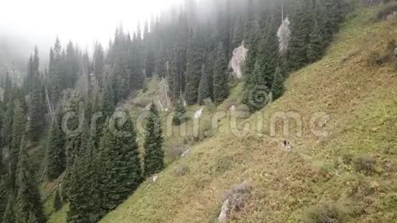 用无人机射击在雾中飞过森林人们沿着这条路走在山里远足视频的预览图