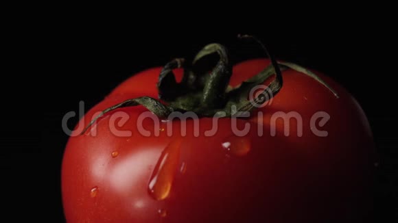涓滴番茄框架红番茄的特写和黑色背景上的水滴视频的预览图