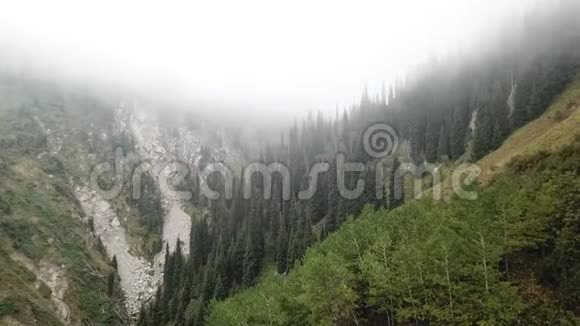 用无人机射击在雾中飞过森林人们沿着这条路走在山里远足视频的预览图