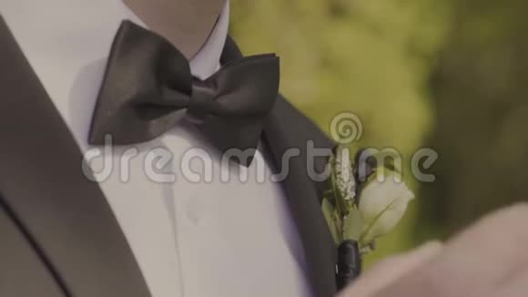 带着蝴蝶穿着婚礼正式服装的新郎西装手护理领带纠正调整时尚鞠躬视频的预览图