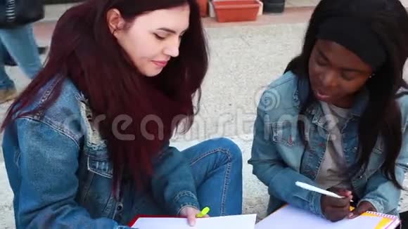 两位来自非洲和高加索地区的年轻女性坐在长凳上户外学习视频的预览图