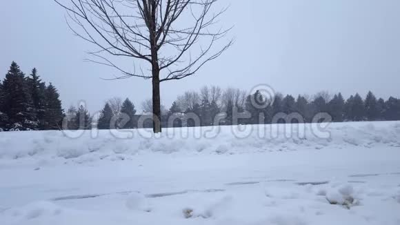 郊区公共公园的暴风雪郊区住宅区雪化自然景观北雪天气风景区视频的预览图