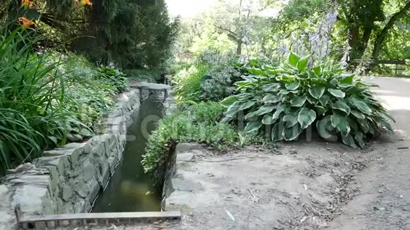 花园公园的流出通道视频的预览图