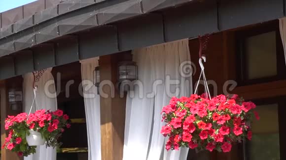 餐厅的门面美丽家园的阳台阳台上的花视频的预览图