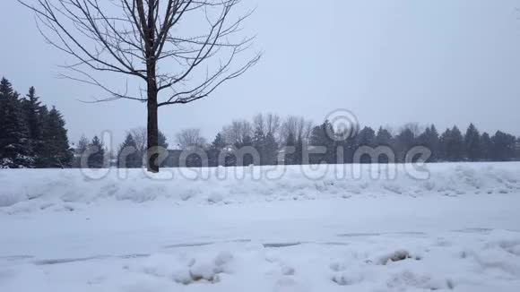 郊区公共公园的暴风雪郊区住宅区雪化自然景观北雪天气风景区视频的预览图