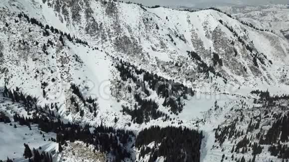 云杉生长的雪山上的冬季飞行渐渐地书架上的天空峡谷和视频的预览图