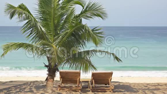沙滩椰棕树下的酒廊阳光床视频的预览图